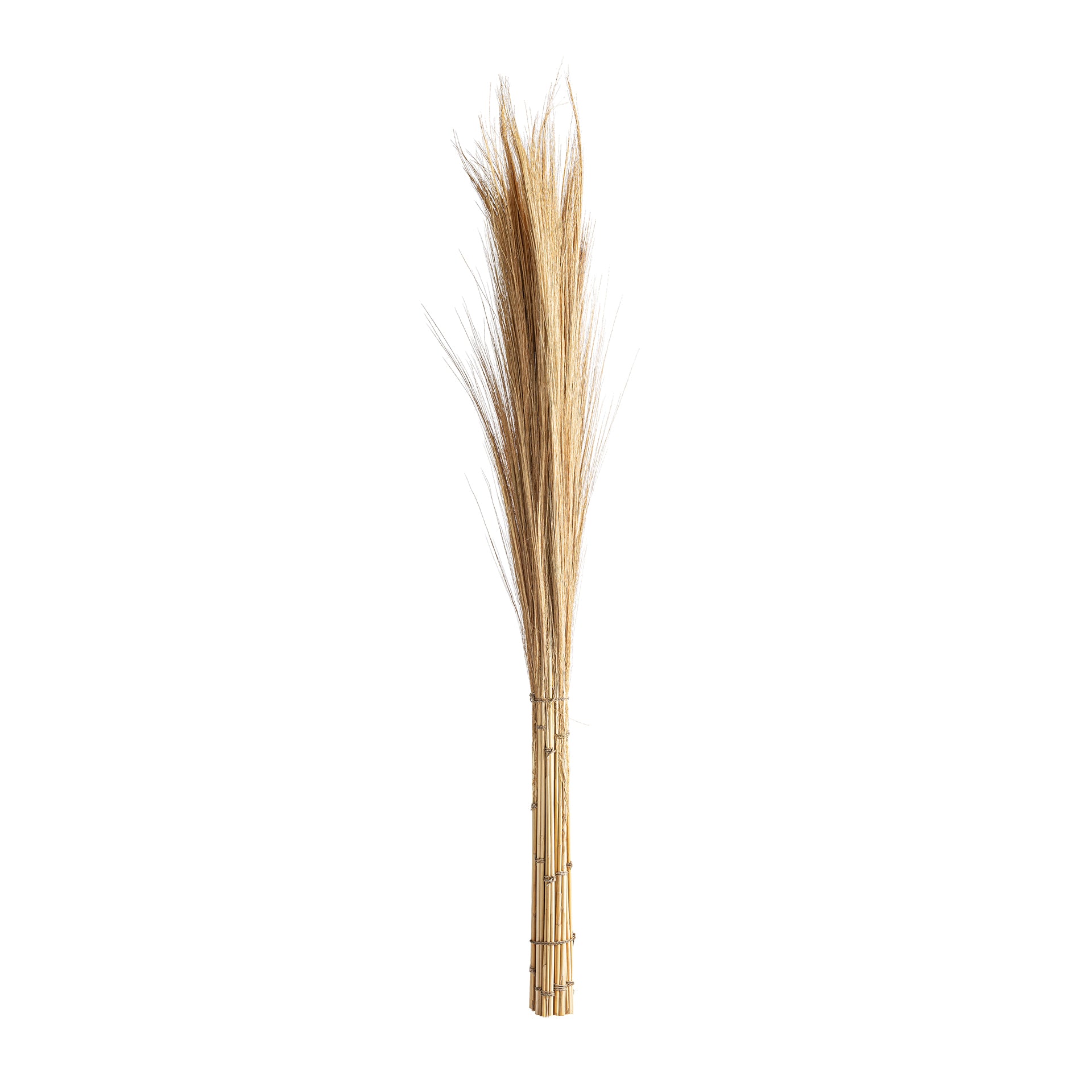 LEASHE BRANCHES